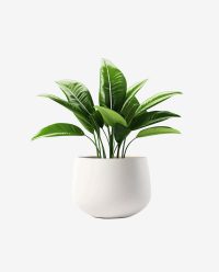Second image of Wooden Plant Stand with White Planter