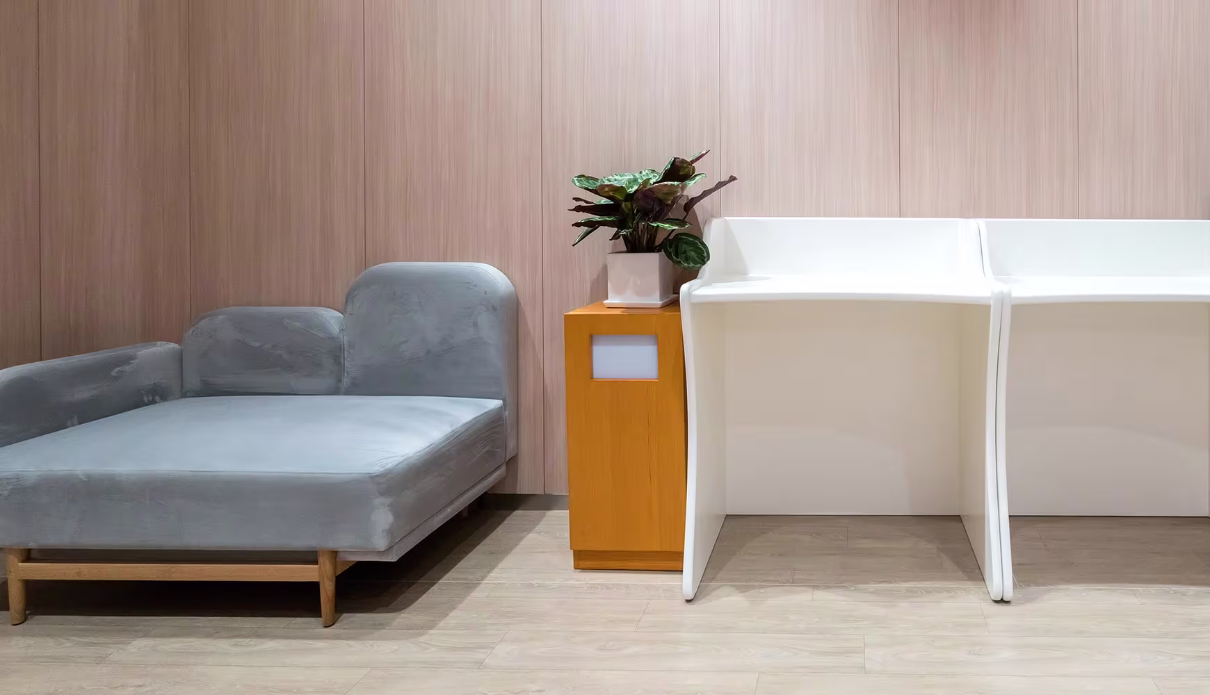 Choose Your Furniture